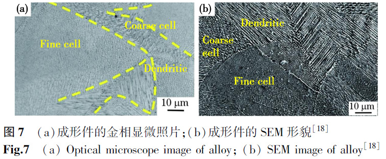 1672138368126540.jpg t7.jpg