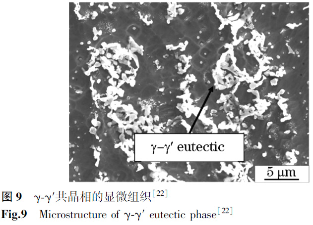 1672138434394571.jpg t9.jpg