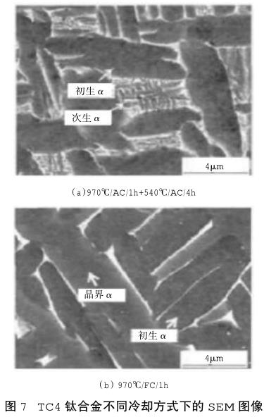 1686235681356994.jpg t7.jpg