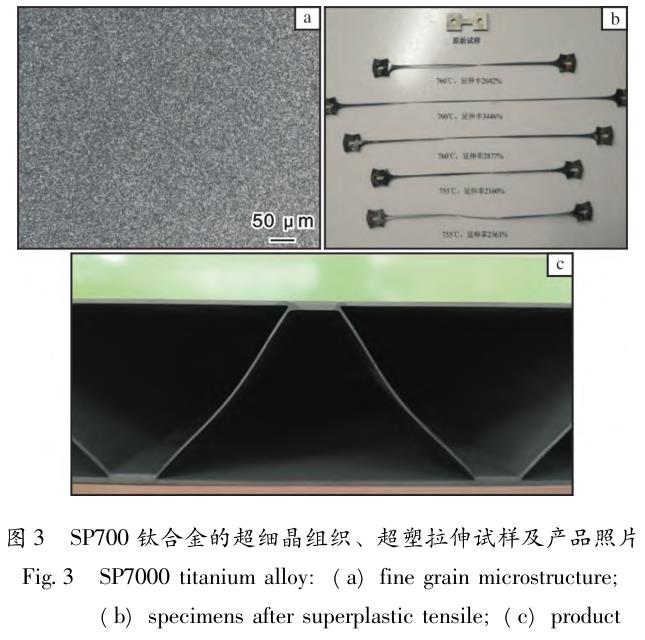 1692006624631126.jpg t3.jpg