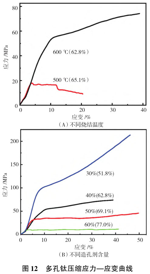 1706104873446190.jpg t12.jpg