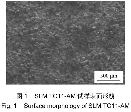 1706222783545848.jpg t1.jpg