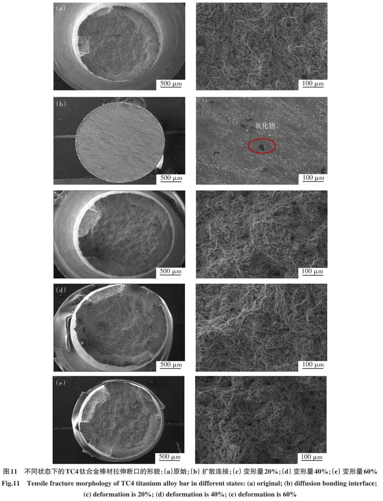 1700449130836678.jpg t11.jpg