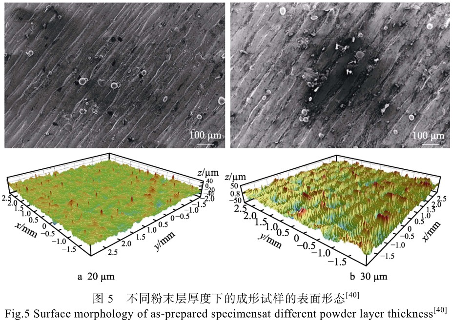 1715136921457509.jpg t5.jpg