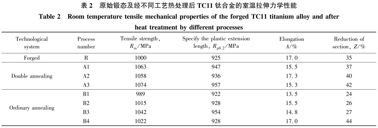 1708354457497045.jpg b2.jpg