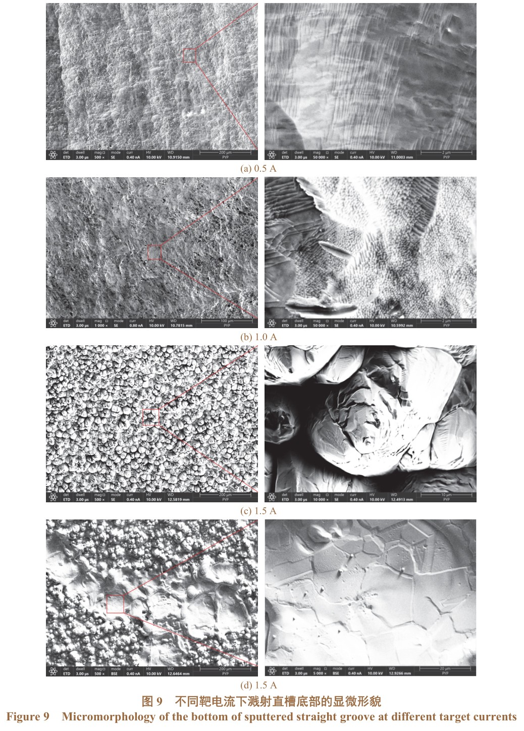 1725334342603888.jpg 未標(biāo)題-1.jpg