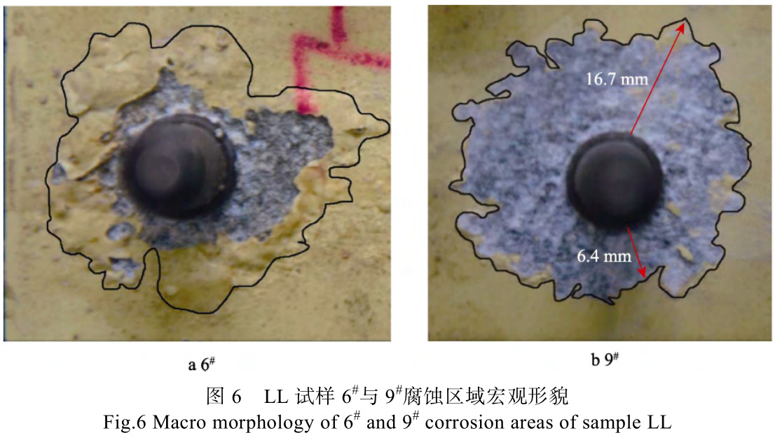 1728034750702237.jpg t6.jpg