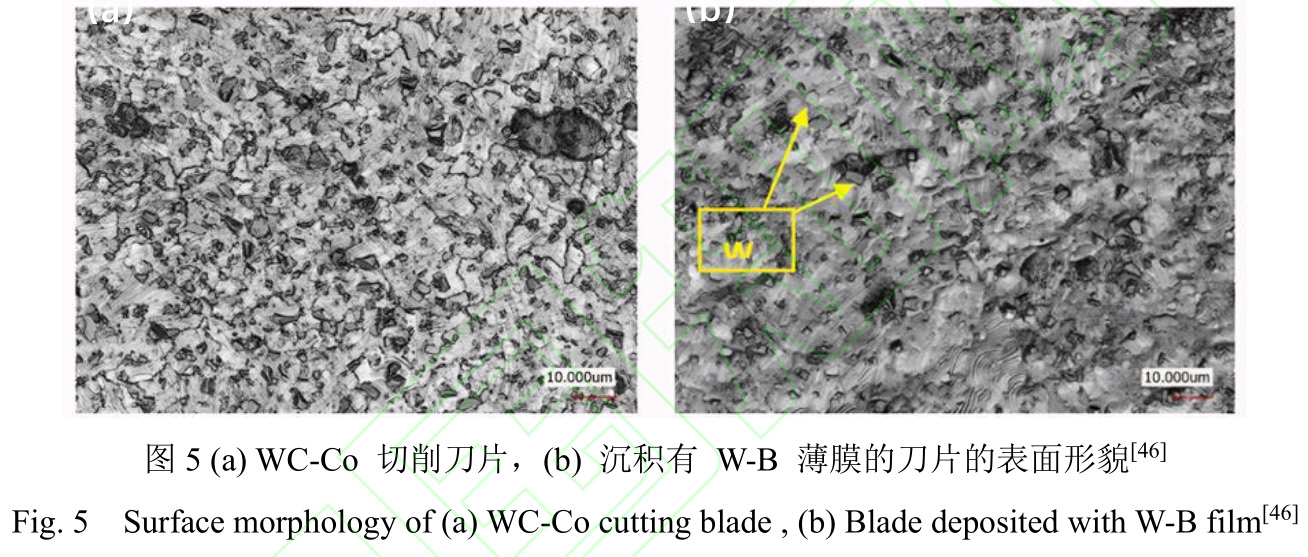 1728214131328408.jpg t5.jpg